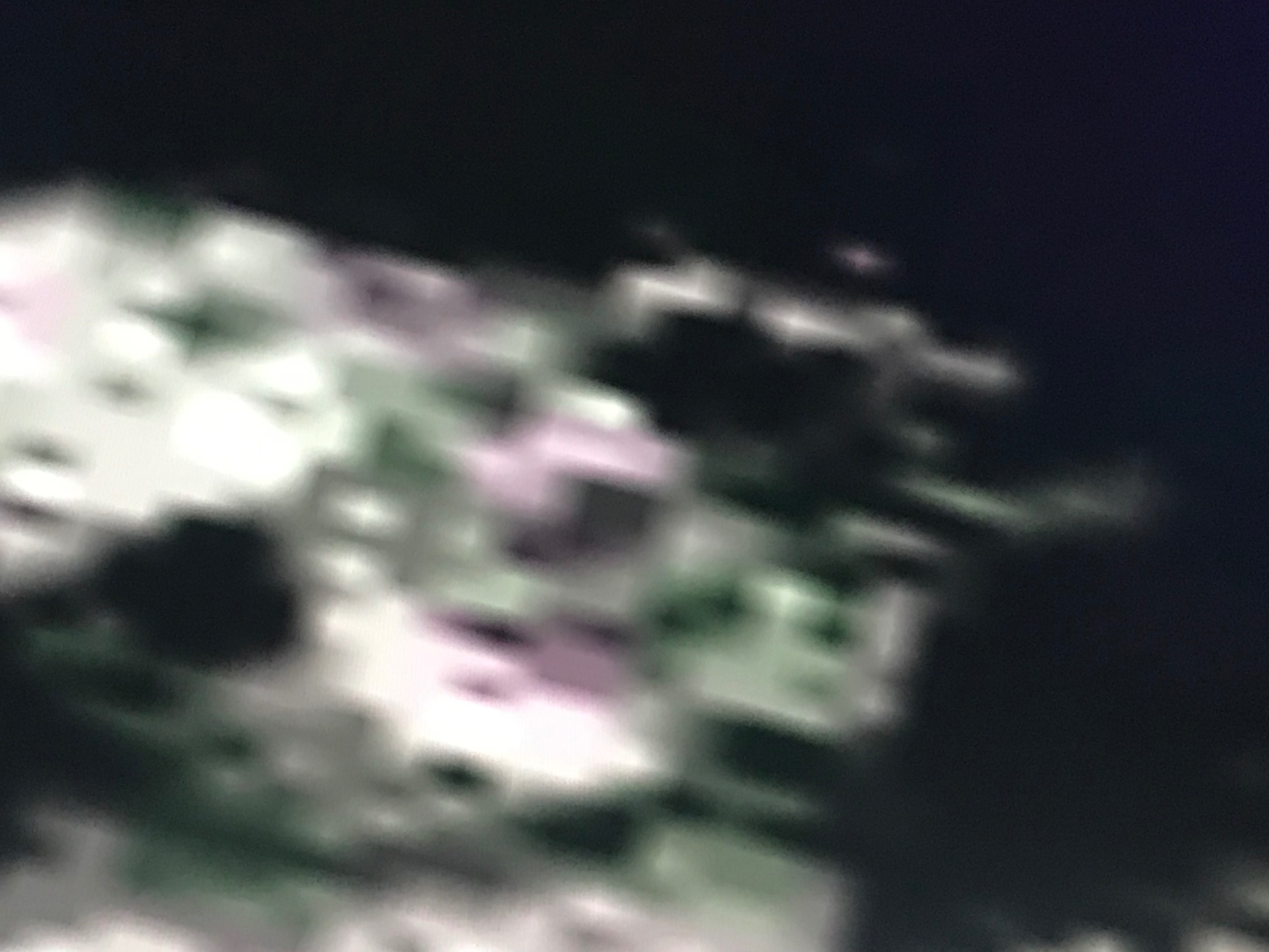 Night Mosaic