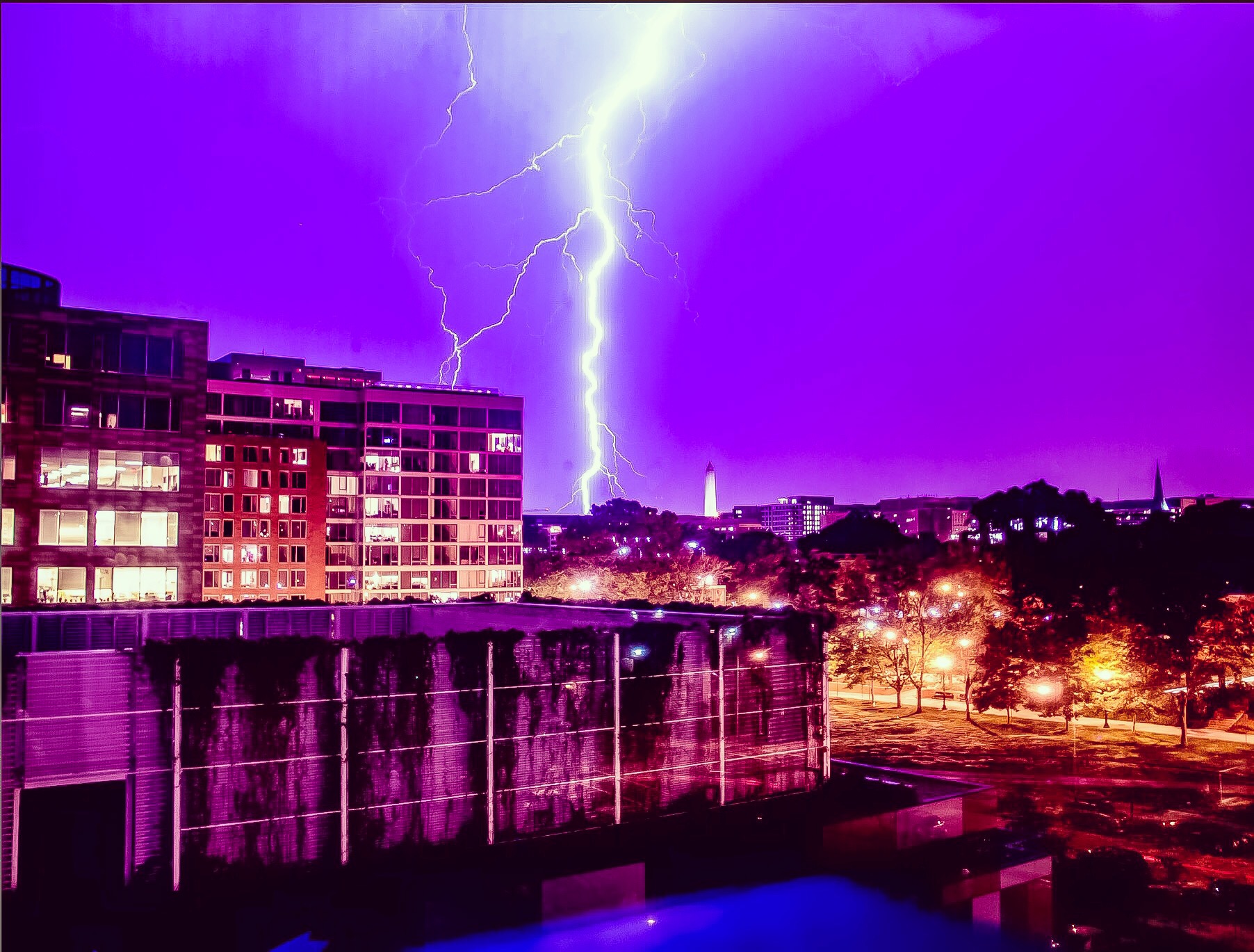 Violet Storm